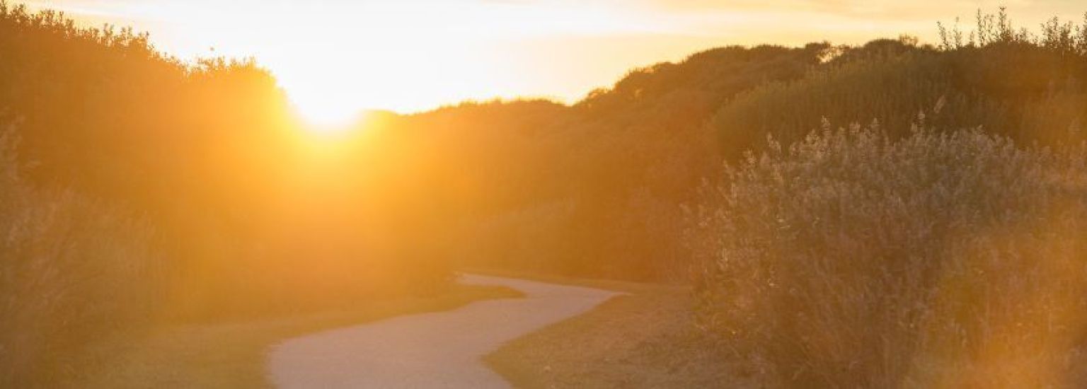 Häufig gestelte Fragen über Urlaub im Rollstuhl auf Ameland - VVV Ameland.