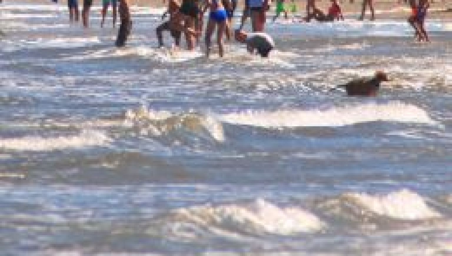 Frequently asked questions about the beach of Ameland - Tourist Information Centre VVV Ameland.