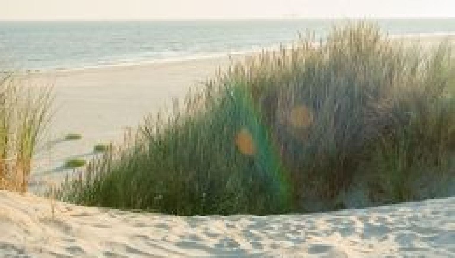 Häufig gestelte Fragen über der Strand von Ameland - VVV Ameland.