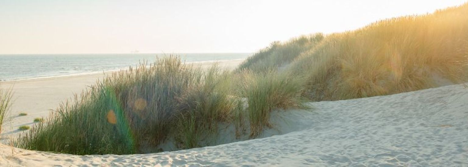 Häufig gestelte Fragen über den Strand von Ameland - VVV Ameland.