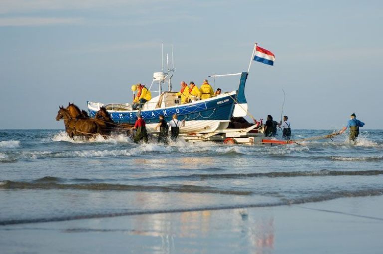 Aktuelle Programmübersicht - VVV Ameland