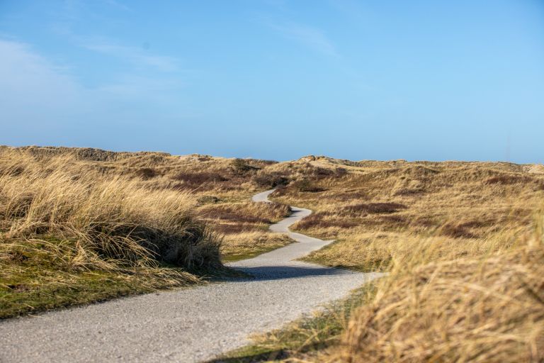 Gute Vorsätze? Fangen Sie auf Ameland an! - VVV Ameland