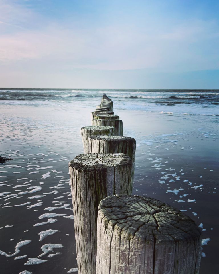 Gute Vorsätze? Fangen Sie auf Ameland an! - VVV Ameland