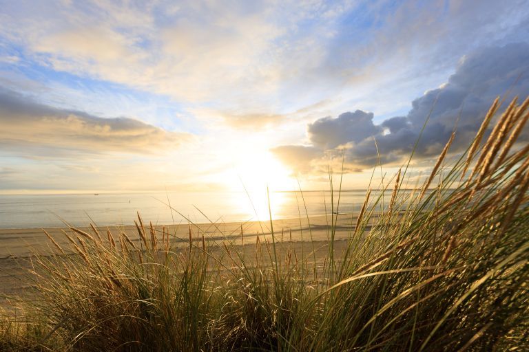 Gute Vorsätze? Fangen Sie auf Ameland an! - VVV Ameland