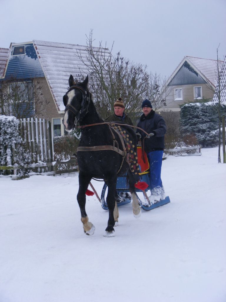 Kutschfahrten auf Ameland - VVV Ameland