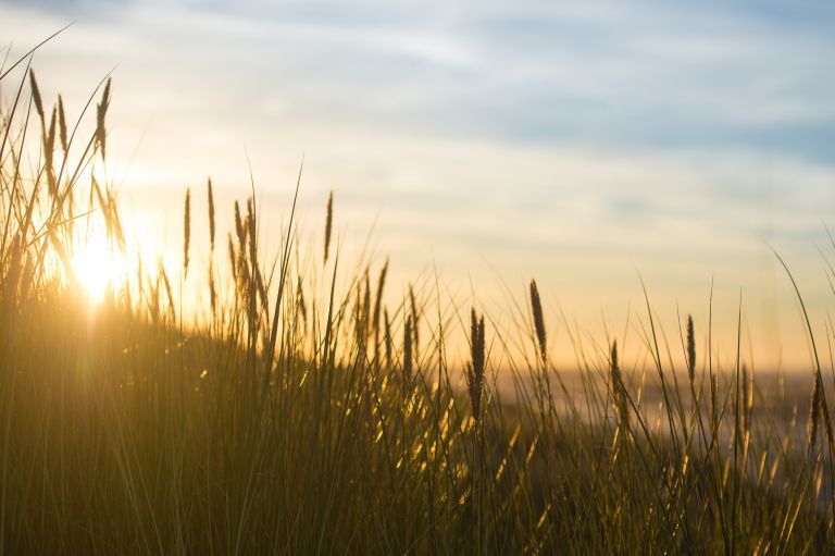 Frühling auf Ameland: Ihr ultimativer Frühlingsausflug - VVV Ameland