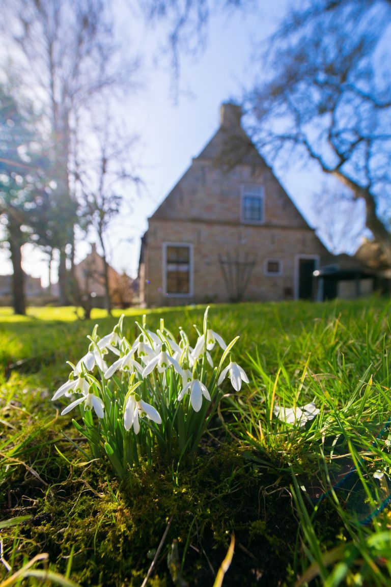 Frühling auf Ameland: Ihr ultimativer Frühlingsausflug - VVV Ameland