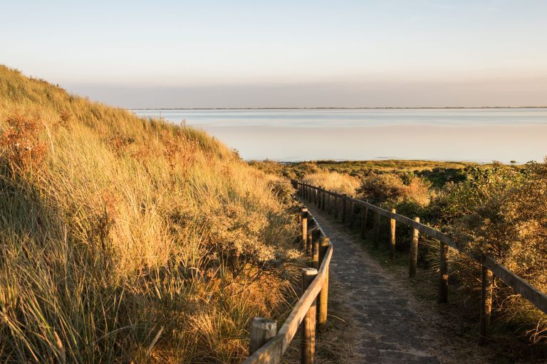 Oerd en Hôn - VVV Ameland