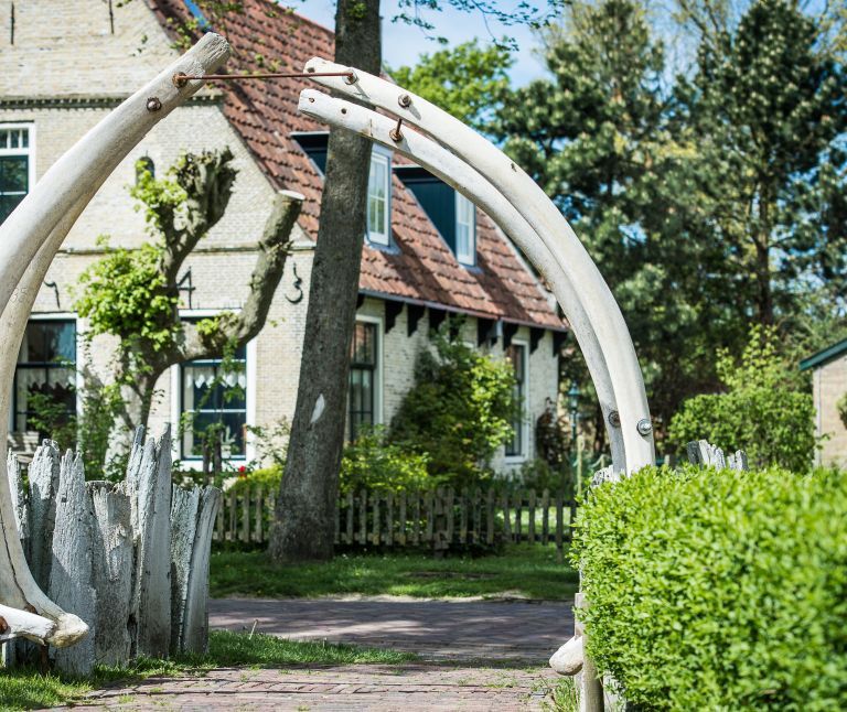 Arrangements auf Ameland - VVV Ameland