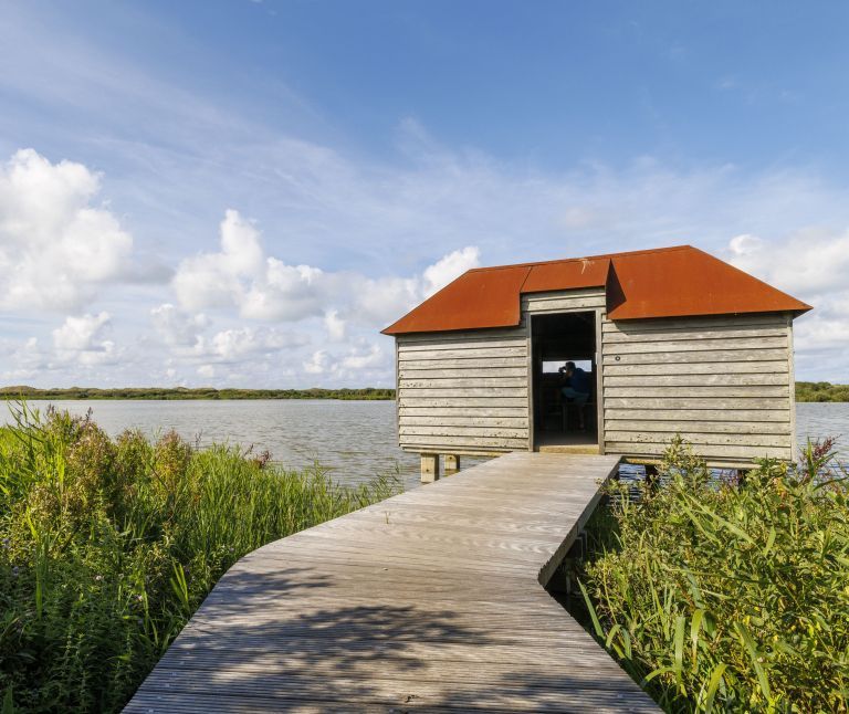 Vogelbeobachtungshütte - VVV Ameland