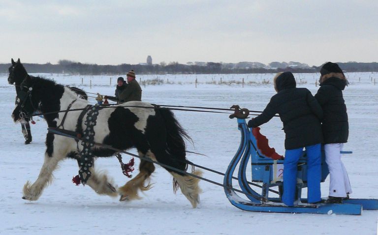 Kutschfahrten auf Ameland - VVV Ameland