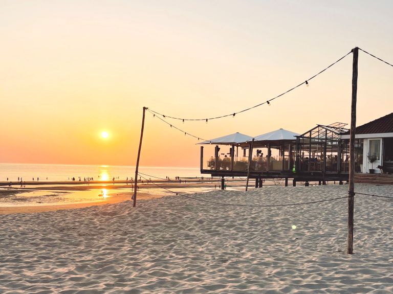 Frühling auf Ameland: Ihr ultimativer Frühlingsausflug - VVV Ameland