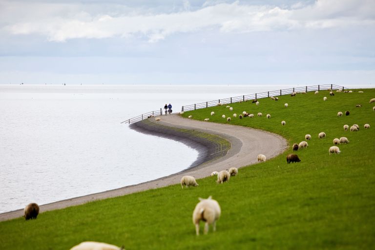 Fahrradpaket - VVV Ameland