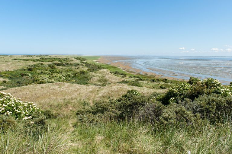 Rixt van het Oerd - VVV Ameland