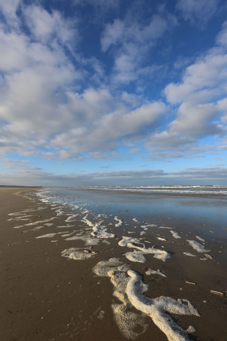 Rixt van het Oerd - VVV Ameland