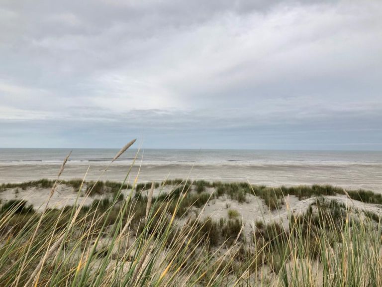 Rixt van het Oerd - VVV Ameland