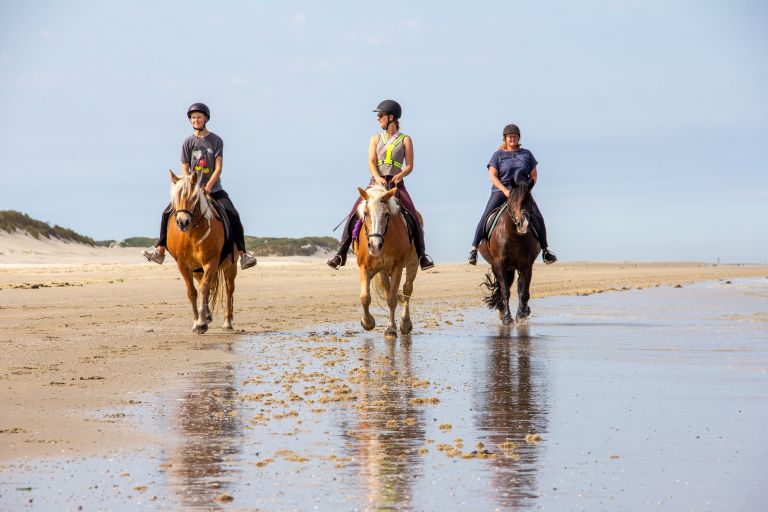 Bewegungstipps und gute Vorsätze auf Ameland - VVV Ameland