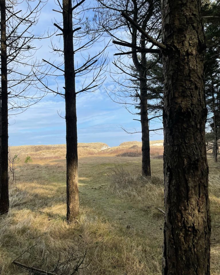 Zeit für neue Energie? Zeit für Ameland! - VVV Ameland