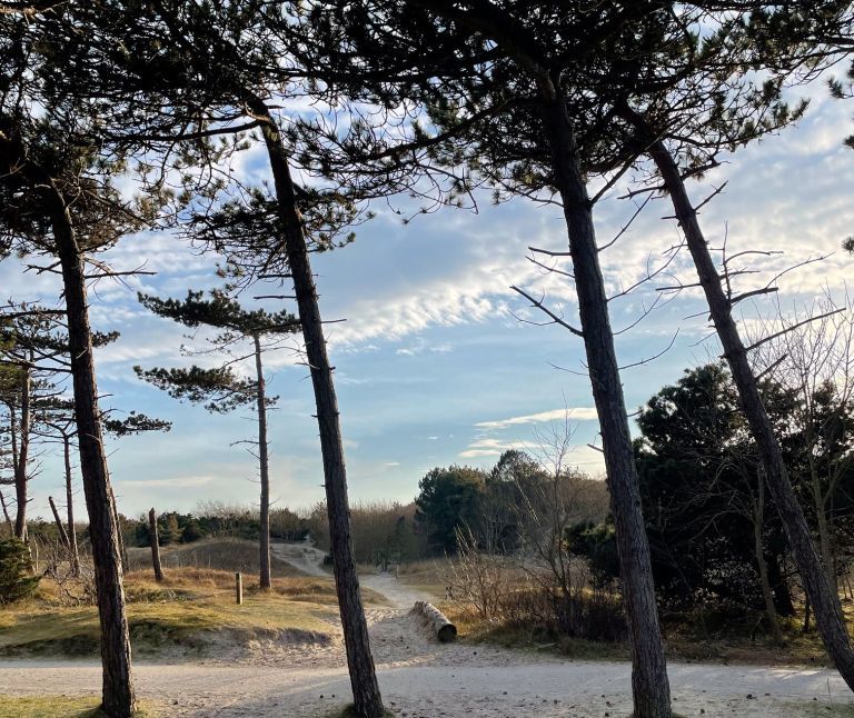 Radfahren auf Ameland - VVV Ameland