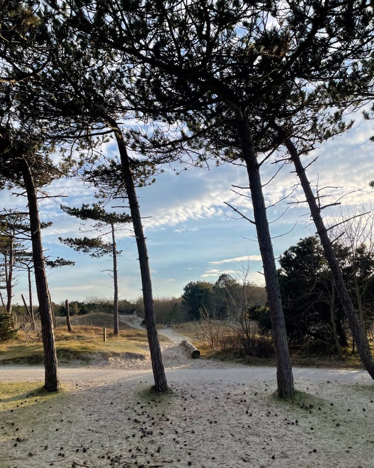 Zeit für sich selbst? Zeit für Ameland! - VVV Ameland