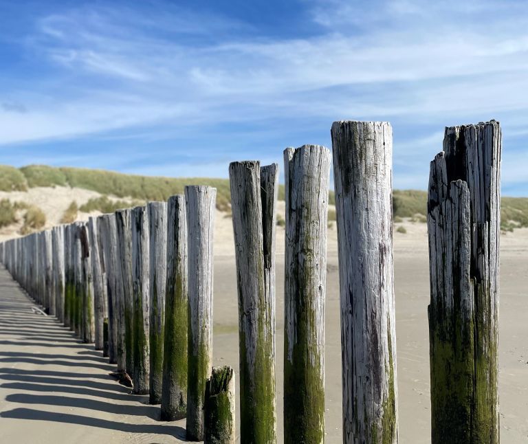 Radfahren auf Ameland - VVV Ameland