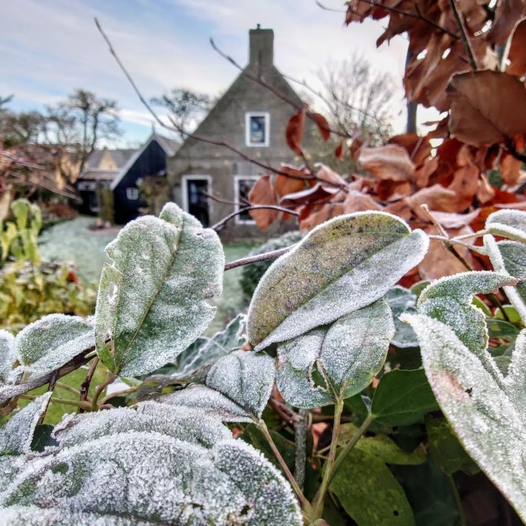 Ameland im Winter: Ruhe, Weite und Gemütlichkeit – 7 Tipps  - VVV Ameland