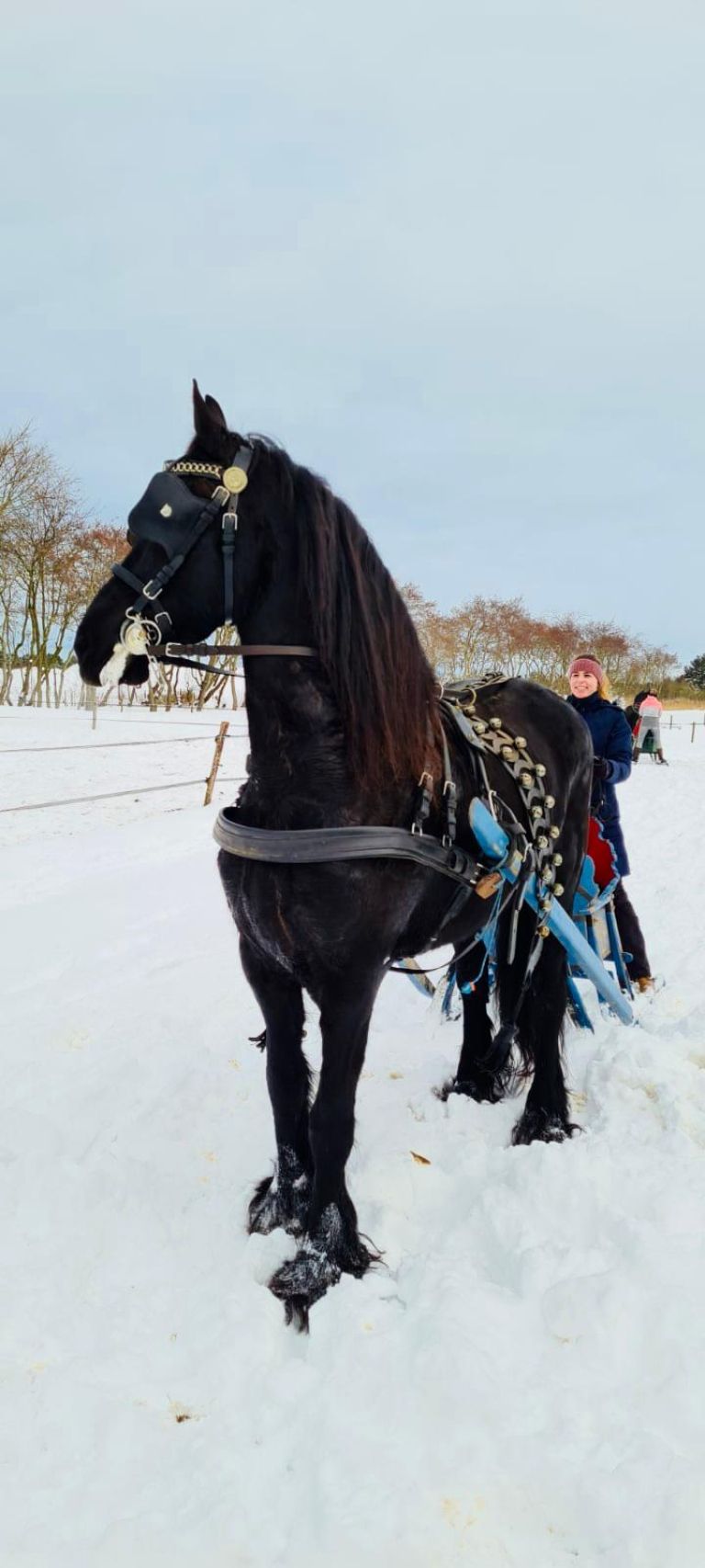 Kutschfahrten auf Ameland - VVV Ameland