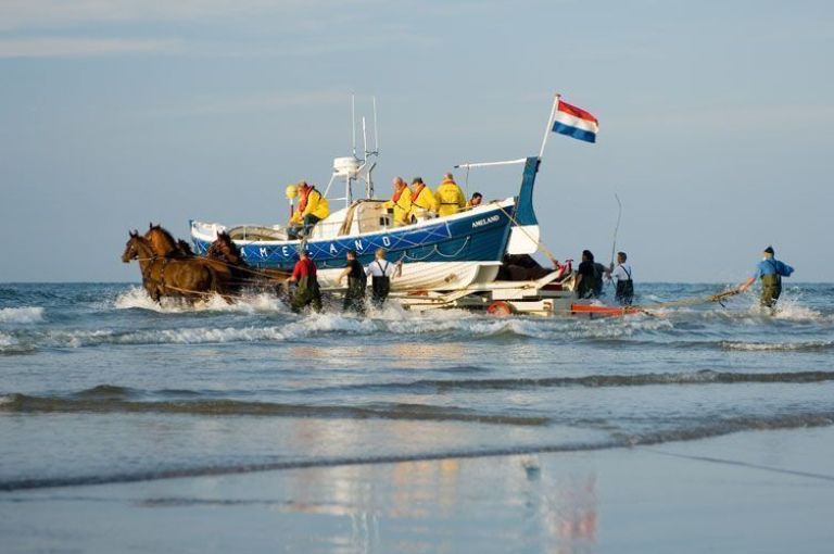 Vorführung des Pferderettungsbootes - VVV Ameland