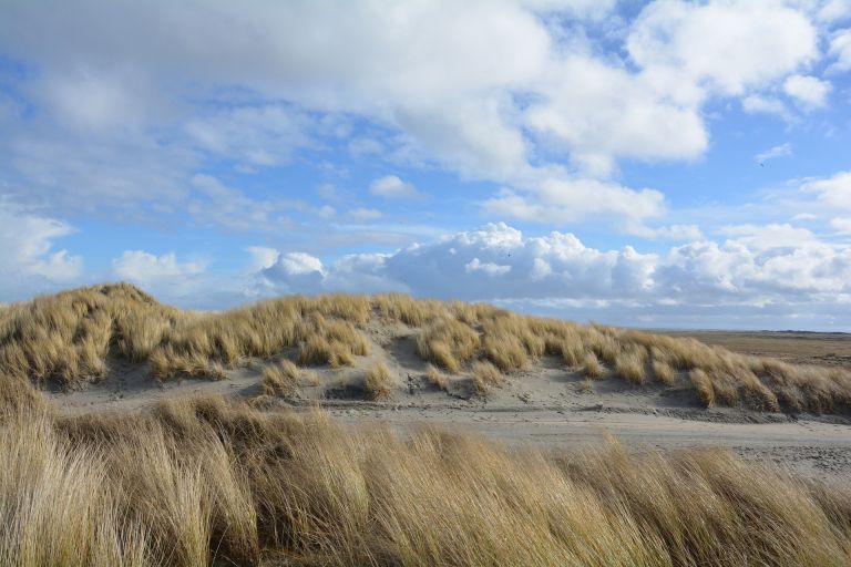 Zeit für sich selbst? Zeit für Ameland! - VVV Ameland