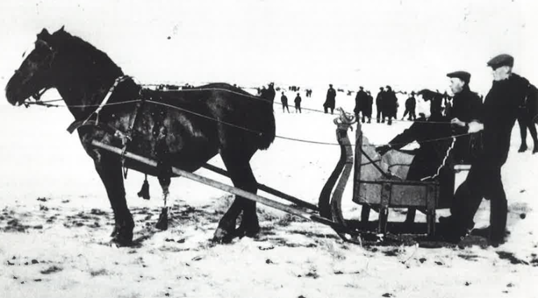 Kutschfahrten auf Ameland - VVV Ameland