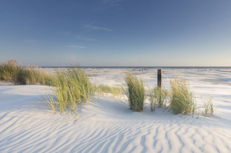 Strand und Dünen - VVV Ameland