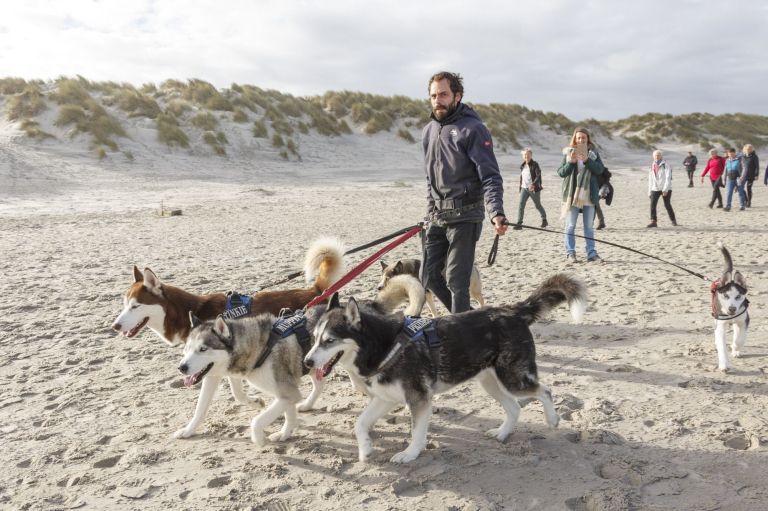 Zwischen Schlick und Sand - VVV Ameland