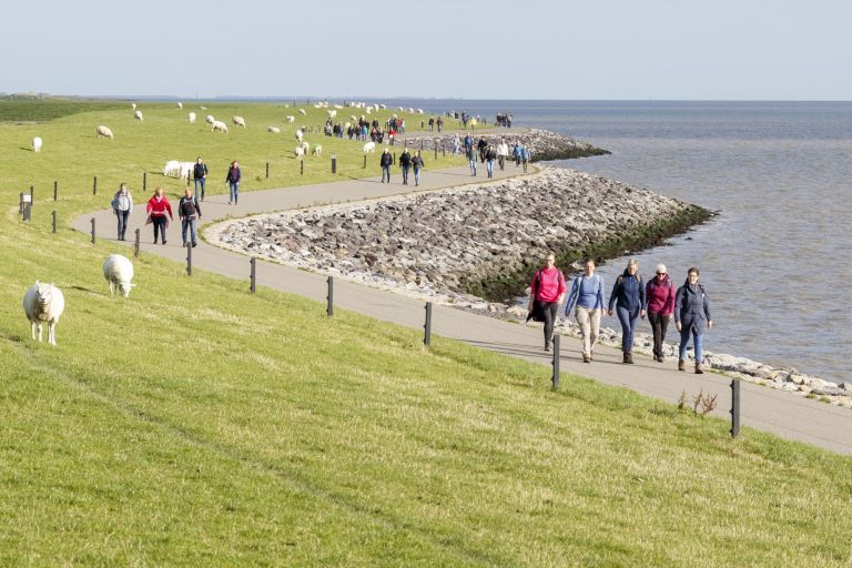 Zwischen Schlick und Sand - VVV Ameland