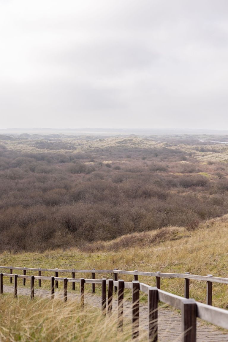 Oerd en Hôn - VVV Ameland