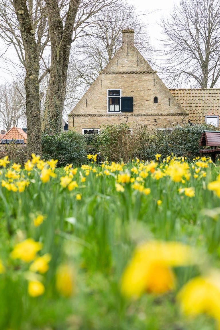 Frühling auf Ameland: Ihr ultimativer Frühlingsausflug - VVV Ameland