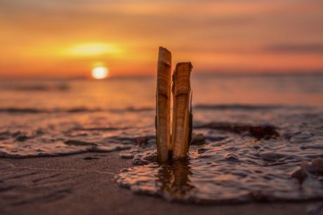 Allgemeine Bedingungen Flaschenpost & einsendungen Fotos - VVV Ameland