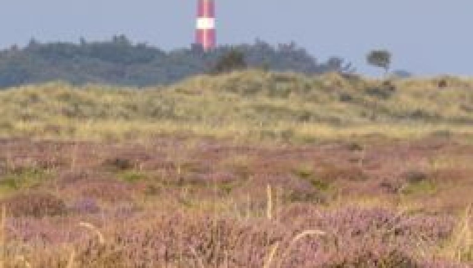 Veelgestelde vragen over openbare diensten op Ameland - VVV Ameland