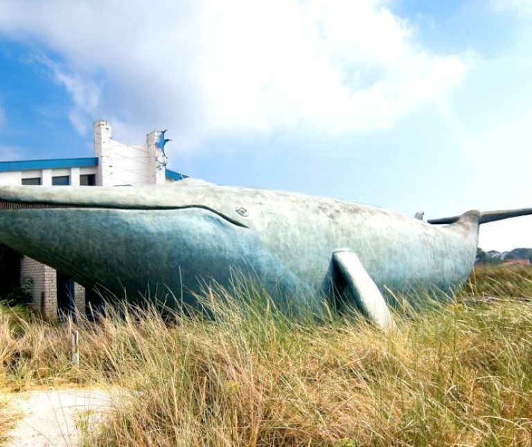 Der Walfang - VVV Ameland