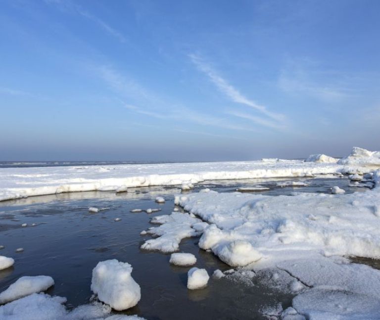 Der Walfang - VVV Ameland