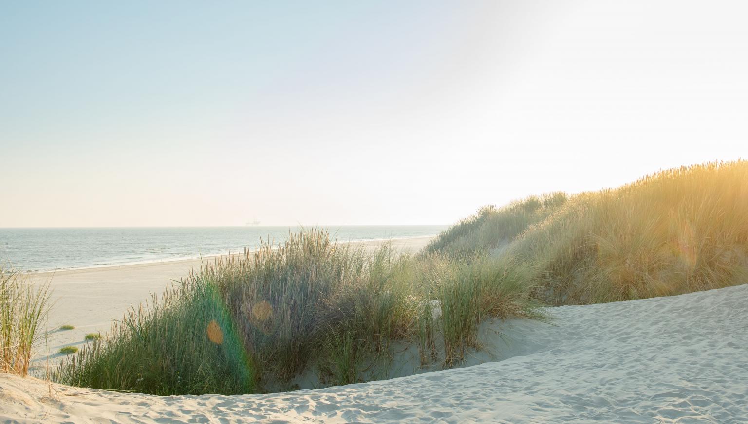 Ameland - Schiermonnikoog eiland- en waddenhoppen - VVV Ameland