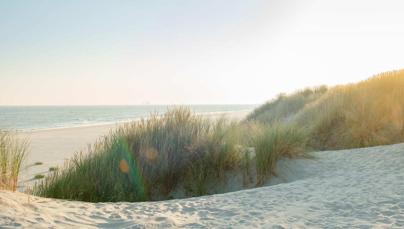 Ameland - Schiermonnikoog - Mudflat Hopping - Tourist Information 