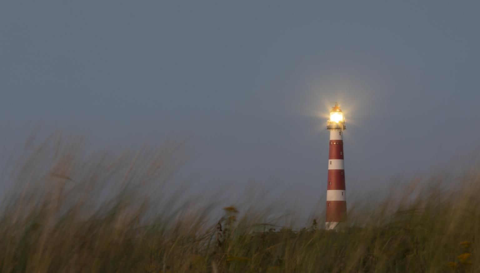 Wald, Strand und Leuchtturm - Foto: Anja Brouwer - VVV Ameland