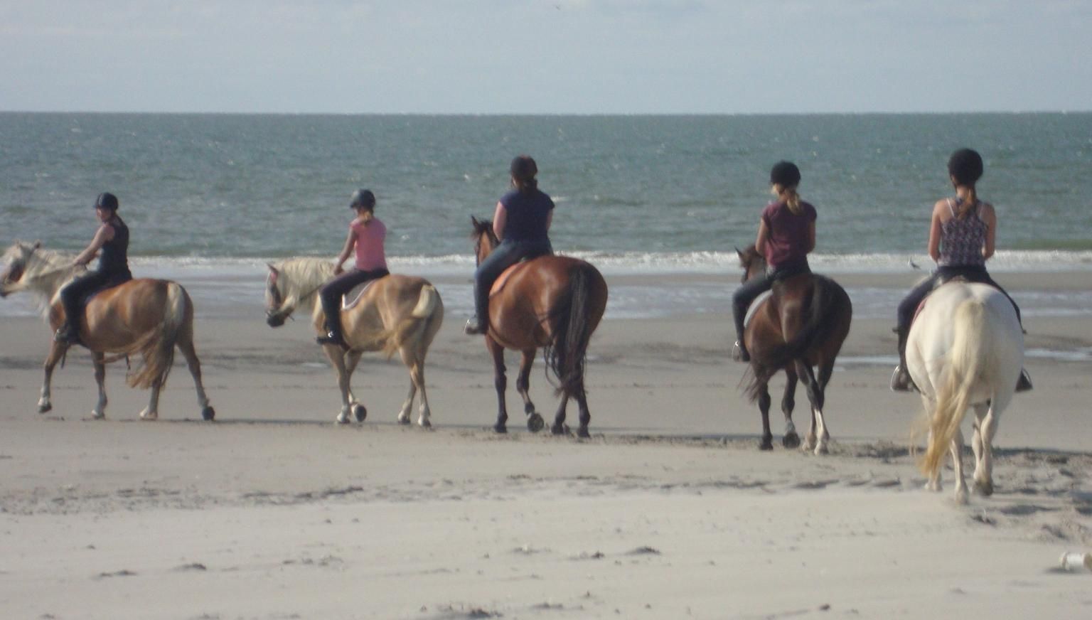 De Hollumer Trap - VVV Ameland