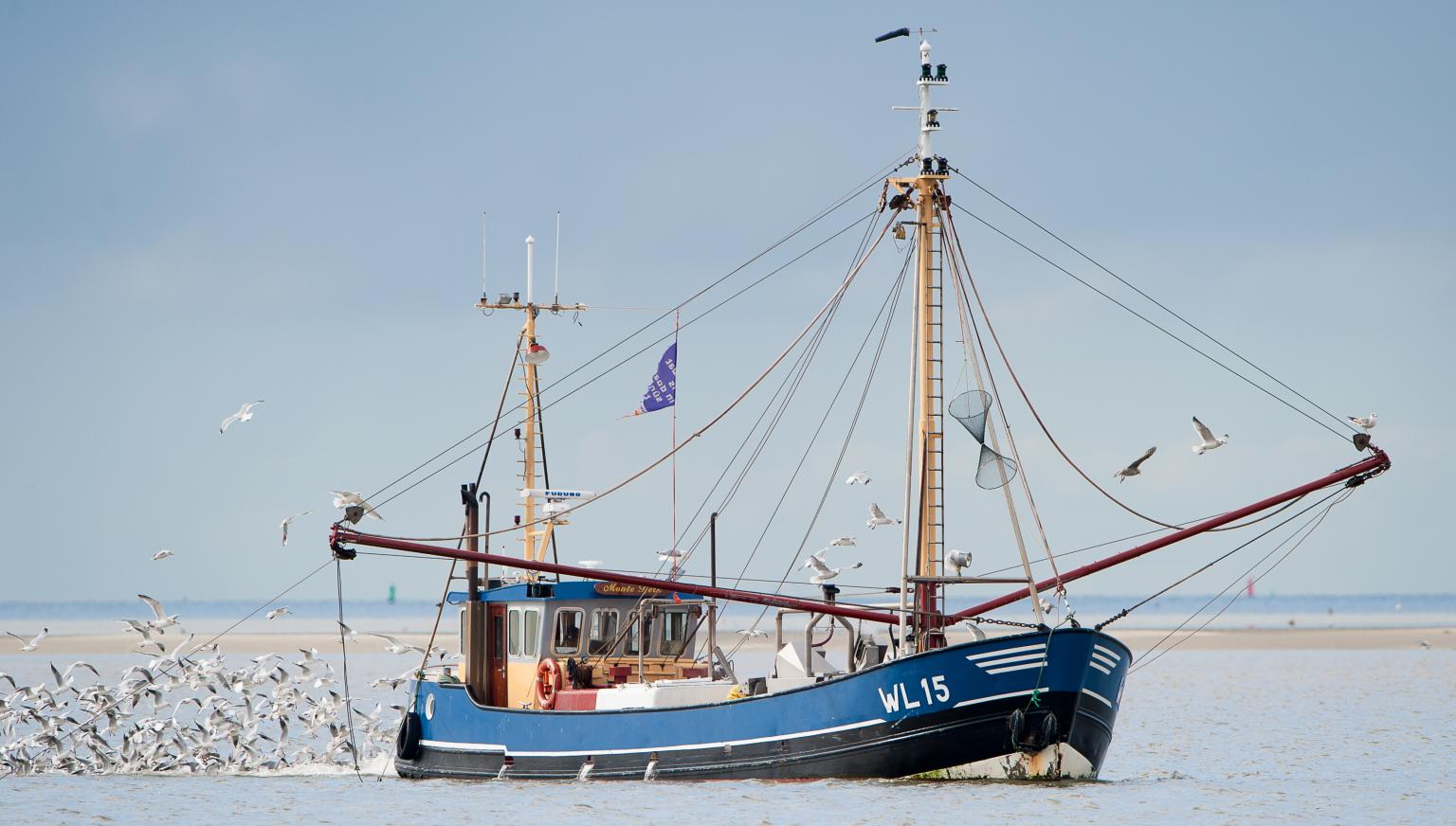 De O'slach Hollum - VVV Ameland