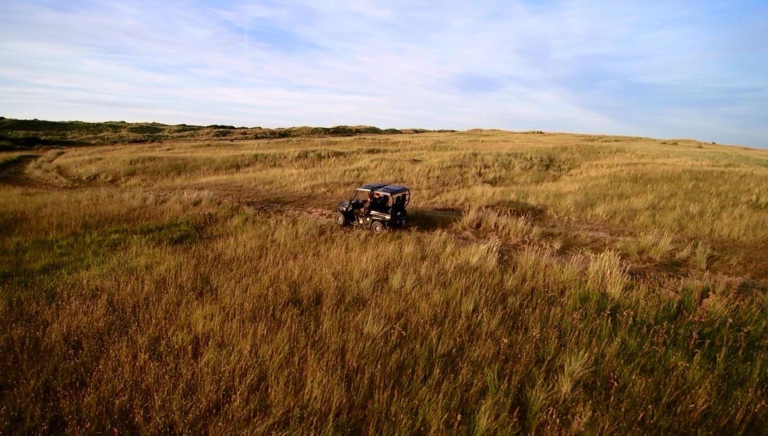 Ecoaafari - VVV Ameland