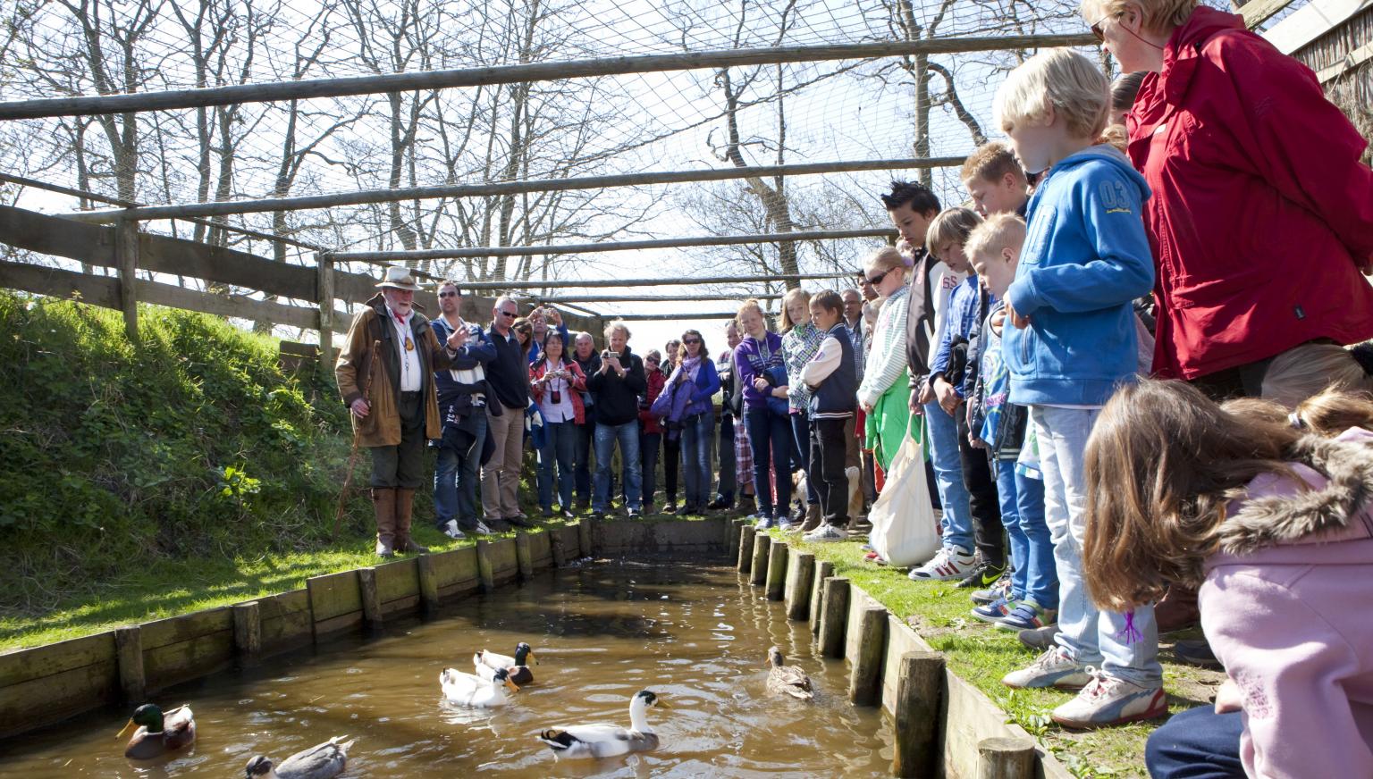 Exkursion im Entenfang - VVV Ameland