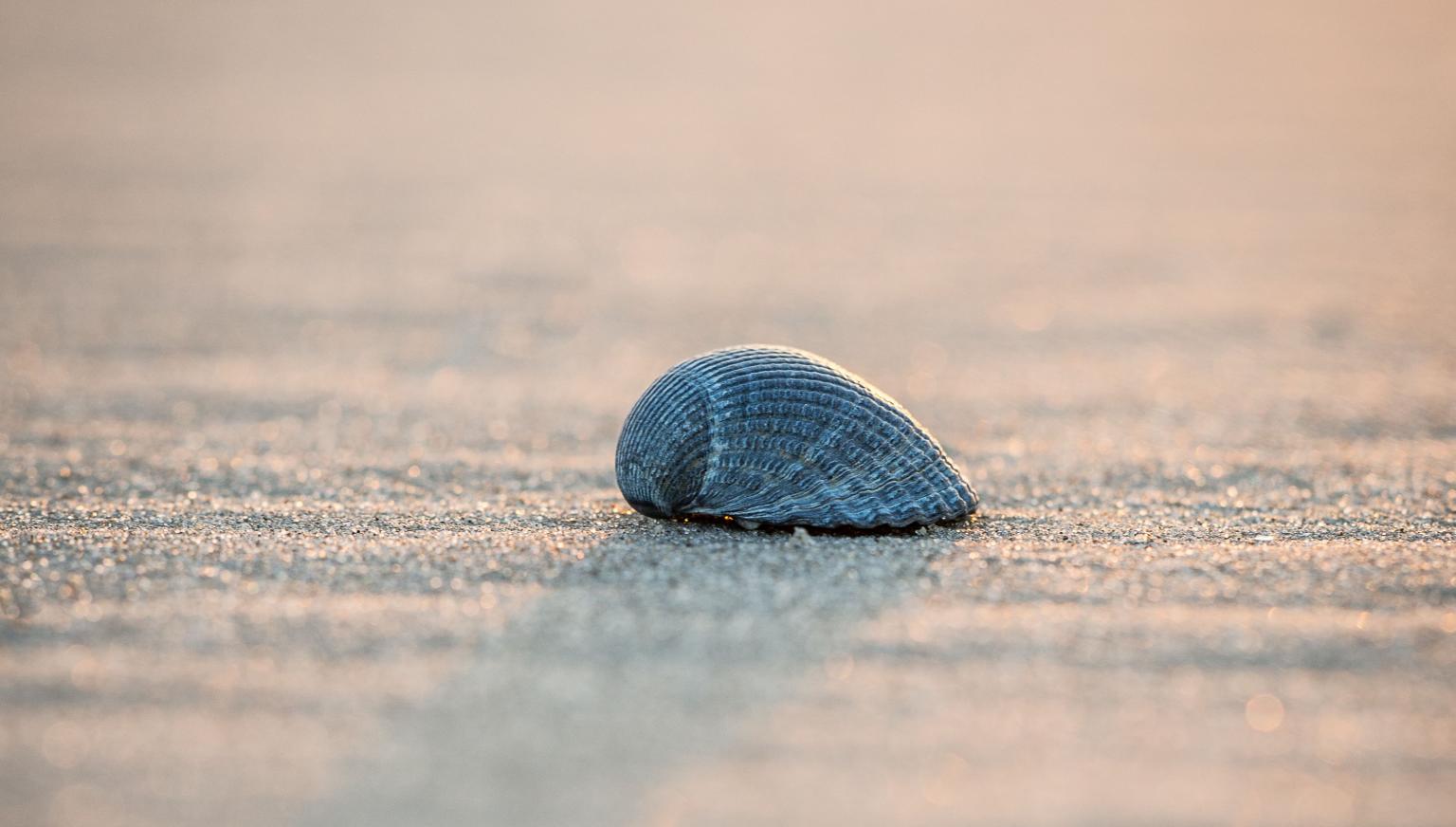 Drogerie Parfumerie Kienstra - VVV Ameland