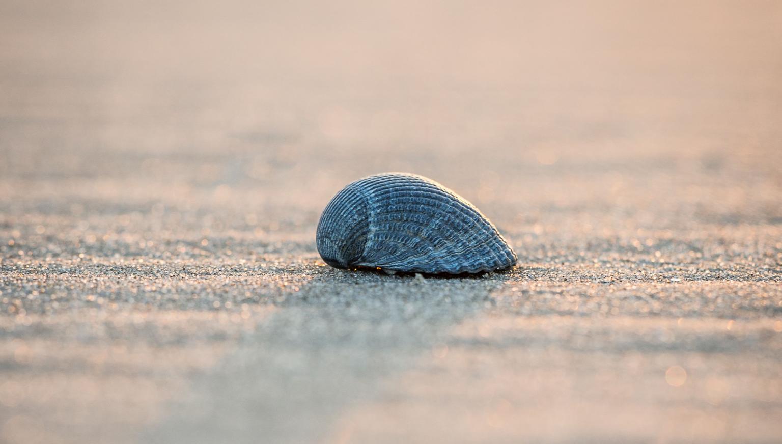 Radio Boelens - VVV Ameland