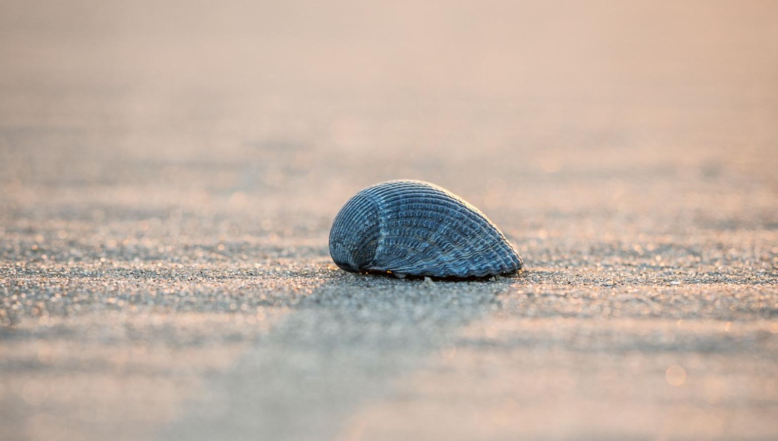 Drogerie Parfumerie Kienstra - VVV Ameland