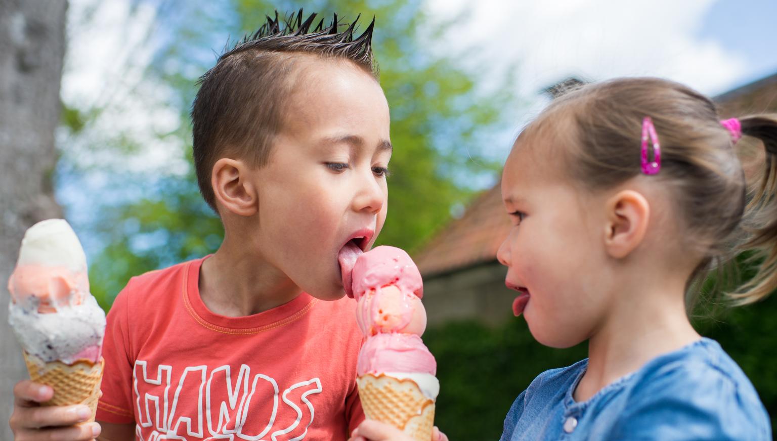 Snackbars, abholen & liefern - VVV Ameland